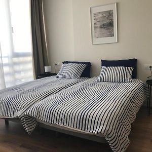 Loft El Pescador Estepona